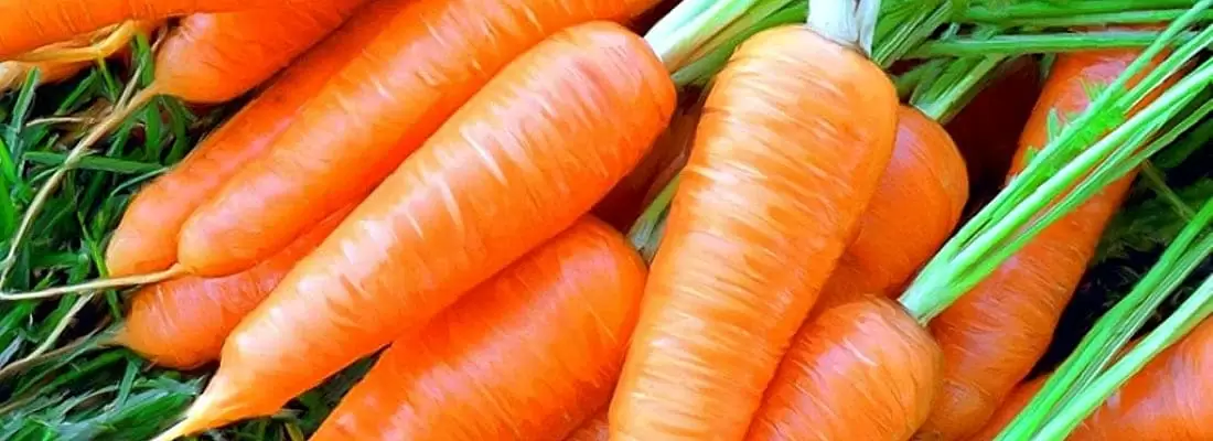 Оладьи из моркови